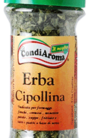 Erba cipollina