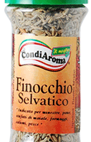 Finocchio selvatico